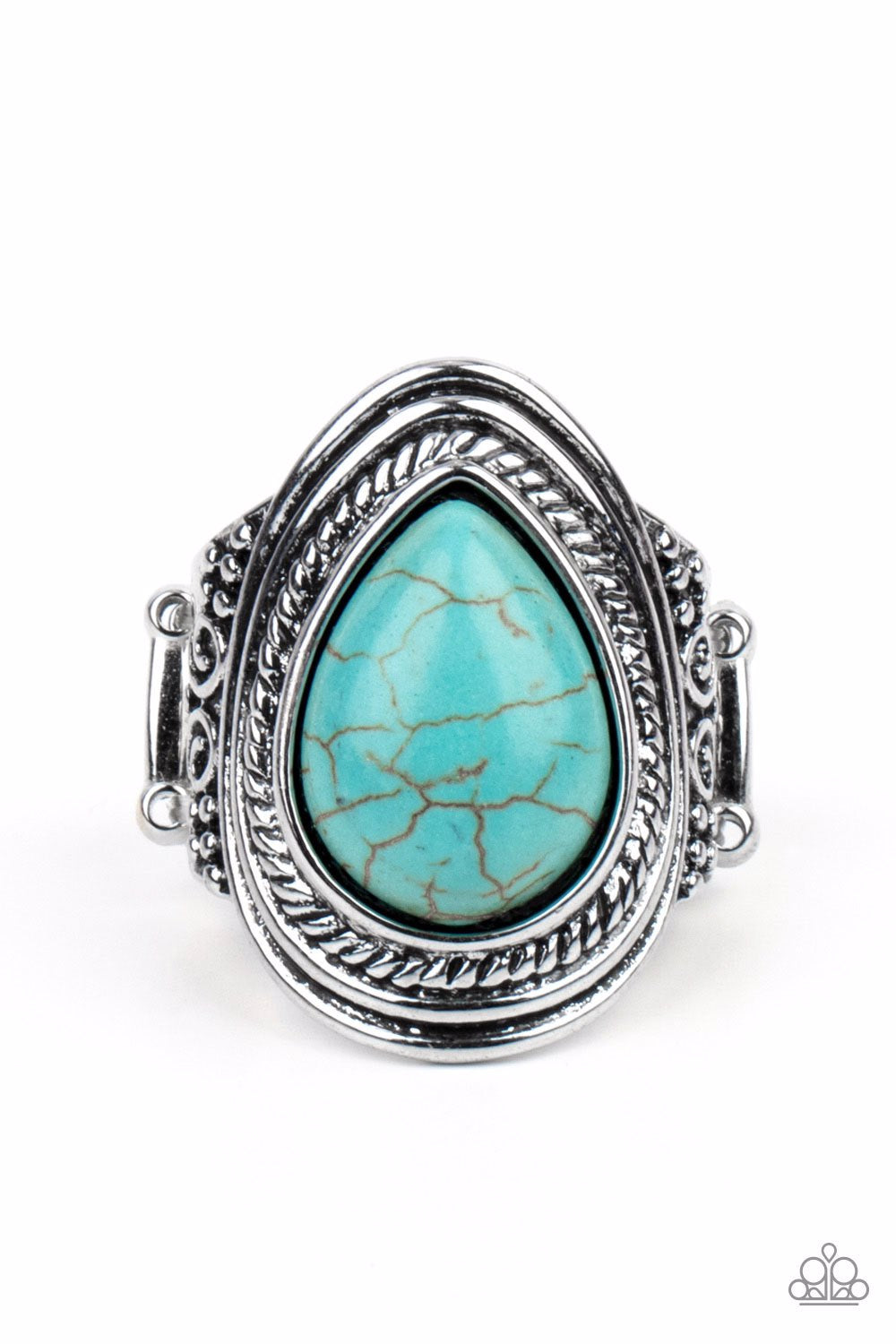 saguaro-scene-blue-ring